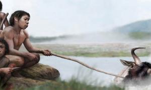 The location of early settlements to hot springs has led researchers to wonder if early humans used them as a cooking resource long before they discovered fire. A research team has analyzed samples from Olduvai Gorge in Tanzania and believes to have found the answer. Source: Tom Björklund / MIT