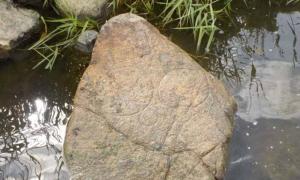 Pictish symbol stone found on the bank of River Don, Dyce, Aberdeen, Scotland.