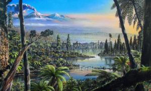 Reconstruction of the West Antarctic Turonian–Santonian temperate rainforest. The painting is based on palaeofloral and environmental information inferred from palynological, geochemical, sedimentological and organic biomarker data obtained from cores 9R and 10R at site PS104_20-2. T            Source: Alfred-Wegener-Institut/J. McKay / CC BY 4.0