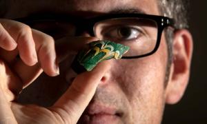 The fragment from the Roman fish bottle, the only one of its type ever discovered in Britain. Source: National Trust Images / Rod Kirkpatrick