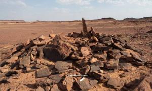 Saudi Arabian Dog Remains Are A Shocking Find