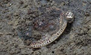 The gold pendant found in the soil.