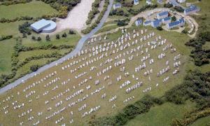 The Carnac Stone Rows