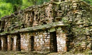 Main access to the Labyrinth of Yaxchilan.