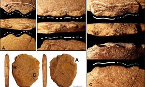 Vale da Pedra Furada Stone Tool Questions First Americans Timeline