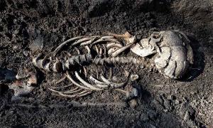 This close-up shot shows one of the Sigtuna Viking burials found north of Stockholm, Sweden. They are believed to be Christianized Vikings who lived about 1,000 years ago. 		