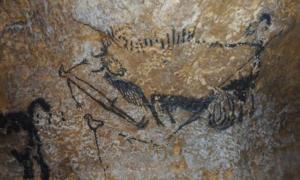 Some of the world's oldest cave paintings have revealed people had an ancient, yet advanced, astronomy. Animal symbols represent star constellations in the night sky, and are used to mark dates and events such as comet strikes, analysis from the University of Edinburgh suggests.