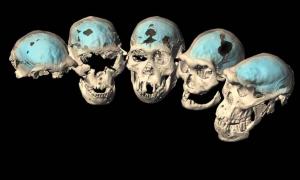 It Really Was a Planet of the Apes Two Million Years Ago