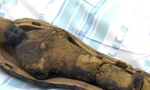 CT Scan Reveals 3,000-Year-Old Non-Human Egyptian Mummies Child-mummy_0