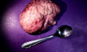 Taking ‘brain food’ literally – baked brains with roasted roses, another disgusting ancient food           Source: Dubnytskaya Photo / Adobe Stock