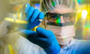 10,000-Year-Old Dog Bone Supports Theory of Coastal Route to the Americas