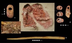 Thanks to new DNA analysis, the Krems-Wachtberg infants discovered in 2005 have now been identified as the earliest twins discovered to date. Source: OREA / Austrian Academy of Sciences