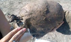 One of the two elongated skulls belongs to a teenage boy who died 1500 years ago and was buried in a pit with two other boys of different genetic background.     Source: © D. Los/Kaducej Ltd / University of Wien