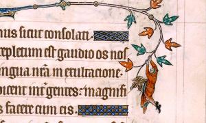 Hanging out in the margin of an illuminated manuscript