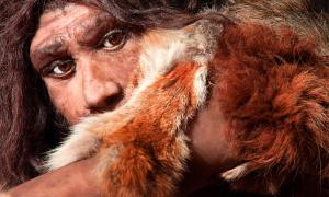 Evolutionary geneticists conducting a genome study have found that Neanderthals had a lower pain threshold than the majority of modern humans. Source: proct_ab / Adobe Stock