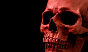 Red skull, representational. Source: ahlaj77 / Adobe Stock
