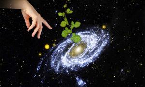 Panspermia – The Idea That Life Came From The Stars