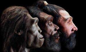 Sorry Europese raciale puristen, het blijkt dat je voorouders Afrikaans en Midden-Oosters waren