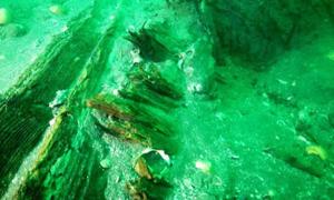 Shipwreck in Japan from Mongol Invasion