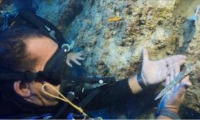 Hakan Öni releasing the Bronze dagger from the seabed. 