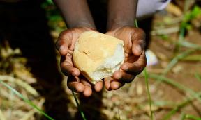Australian Aboriginals are the first culture to make bread. Source:  Riccardo Niels Mayer / Adobe Stock.