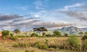 The landscape of Ethiopia today. During the first African migrations by Homo sapiens heading north to Europe or west to the Middle East, Ethiopia and East Africa in general were areas where the climate fluctuated frequently.