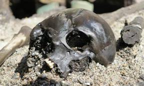 Alken Enge  skulls