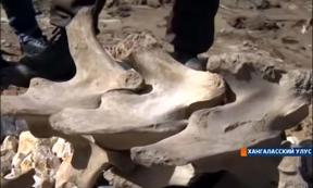 Ancient Bones of Mystery Creature Dug up by Children in Yakutian Village