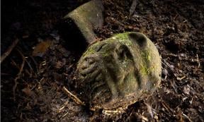 Explorers That Found Ancient Lost City of the Monkey God Almost Lose Their Faces to Flesh-Eating Parasite