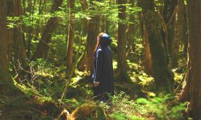 Aokigahara Forest, a.k.a. Suicide Forest, in Japan. Source: Satoshi881 / Adobe Stock