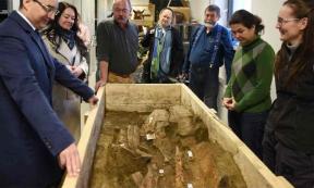 Archaeologists at Déri Museum made a significant discovery: a fully intact lamellar armor was unearthed from a solitary Early Avar warrior burial, near the border of Ebes, Hungary. Source: Déri Museum/Hungarian Museums