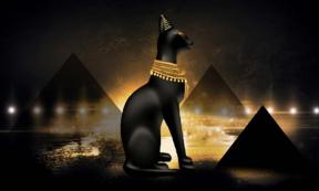 Goddess of Egypt, Bastet. Credit: MiaStendal / Adobe Stock
