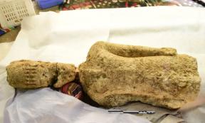Statue identified as being Sebiumeker, god of procreation and fertility from Meroe in present-day Sudan. Source: K. Braulinska / PAP