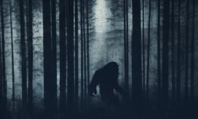 Mysterious Bigfoot figure in the forest. Source: Dave / Adobe Stock 