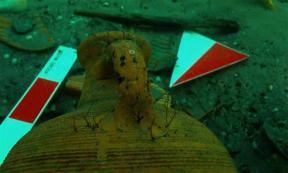 An amphora at the bottom of Kerpe’s ancient harbor in the Black Sea. Source: IHA / Anatolian Archaeology.