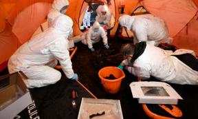 Experts conducted testing on an Irish bog body found in Bellaghy, dating back over 2,000 years. Source: PSNI