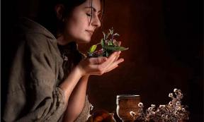 Ancient Botanical medicine involved smell and taste. Source: Thomas Mucha/Adobe Stock