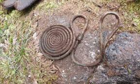 Bronze Age Treasure Accidentally Found in Swedish Forest