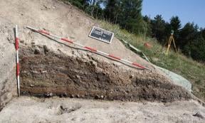 Bronze Age food, plant and cereal remains, from a mining site in Austria dating to the 11th - 9th century BC have been studied and the scientists found no evidence of food processing. 