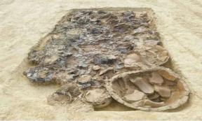 Burial items of Picene Prince, found under burial mound in Corinaldo, Italy. 		Source: University of Bologna/ Città di Corinaldo