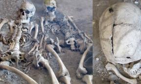 Two previously misidentified skeletons. 