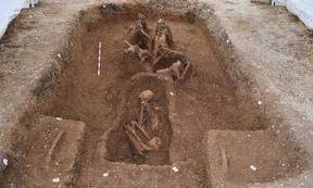 Rare Iron Age chariot with horses. 