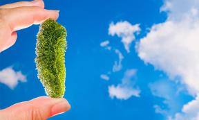 Moldavite, green vitreous silica rock found in South Bohemia             Source: KPixMining/ Adobe Stock