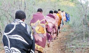 Xhosa boys taking part in the Ulwaluko circumcision tradition. Source: Dingeman / GNU Free Documentation License.