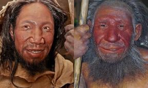 Comparison of faces of Homo sapiens (left) and Homo neanderthalensis (right). (CC BY-SA 4.0)