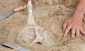 Representative image of skull discovery (not Denisovan)