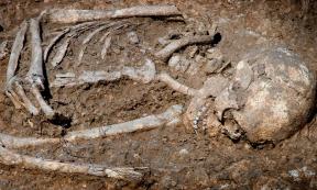 An ancient skeleton (representational). Source: Idanthyrs / Adobe Stock.