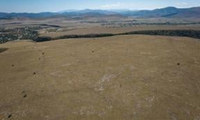 Aerial view of the outer enclosure of the settlement, looking back into Dmanisis Gore from the northwest.