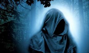 Representative image of a cloaked druid in a forest.