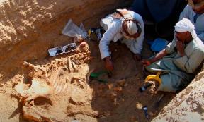 Was this the world’s first zoo? Source: YouTube Screenshot / Smithsonian Channel.